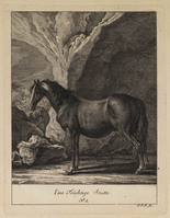 KG 01078
          <br/>
          Entwurf einiger Pferde. Sechster Theil. (18 bladen)
          <br/>
          <em>Ridinger, Johann Elias (1698-1767)</em>